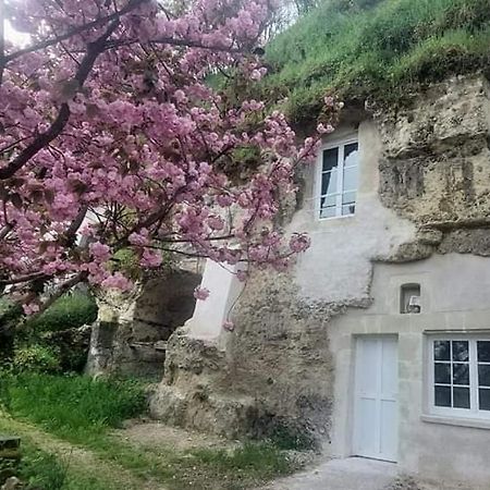 Troglo Entre Caves Et Chateaux مونتلويس سور لوار المظهر الخارجي الصورة