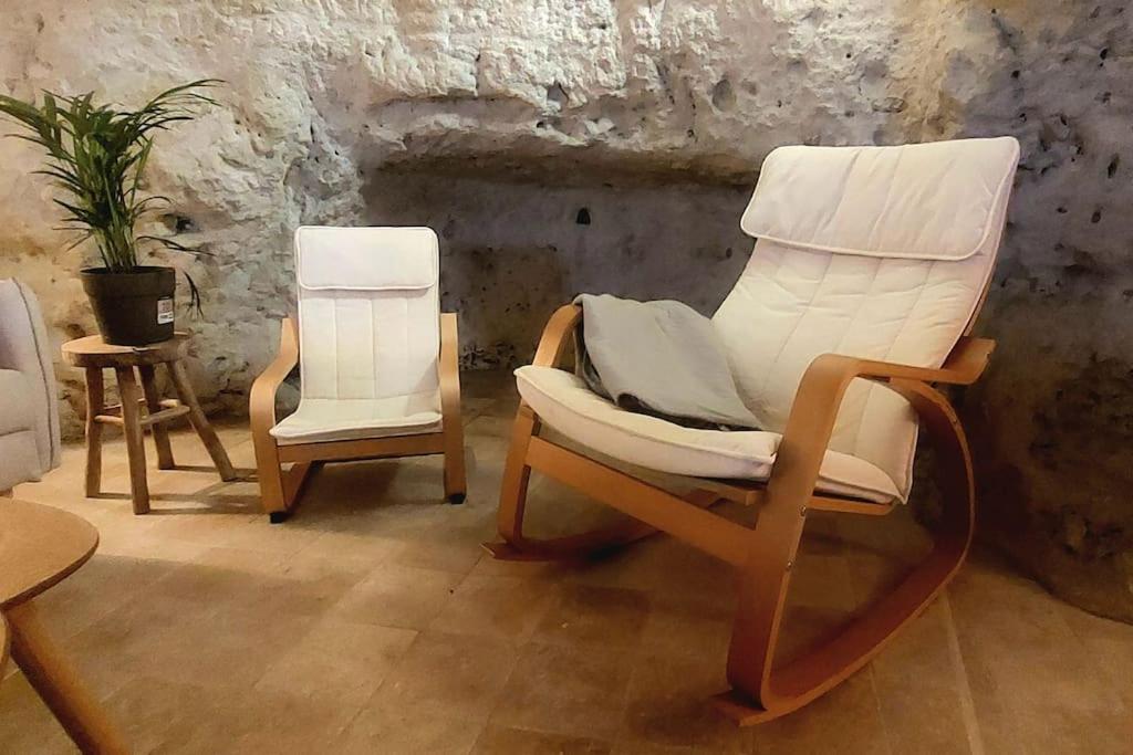 Troglo Entre Caves Et Chateaux مونتلويس سور لوار المظهر الخارجي الصورة