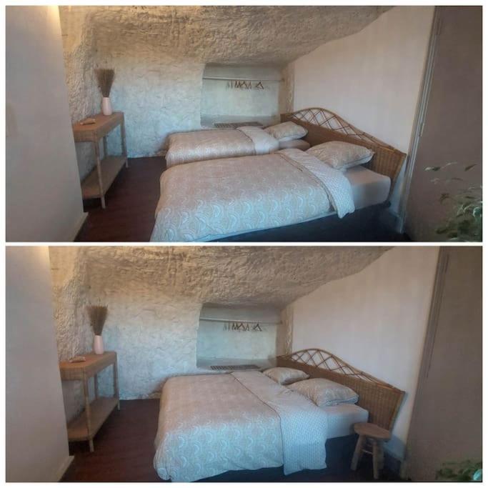 Troglo Entre Caves Et Chateaux مونتلويس سور لوار المظهر الخارجي الصورة