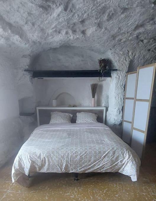 Troglo Entre Caves Et Chateaux مونتلويس سور لوار المظهر الخارجي الصورة