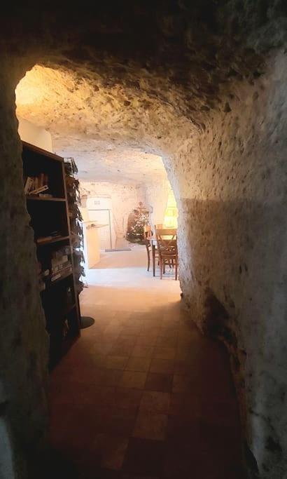 Troglo Entre Caves Et Chateaux مونتلويس سور لوار المظهر الخارجي الصورة