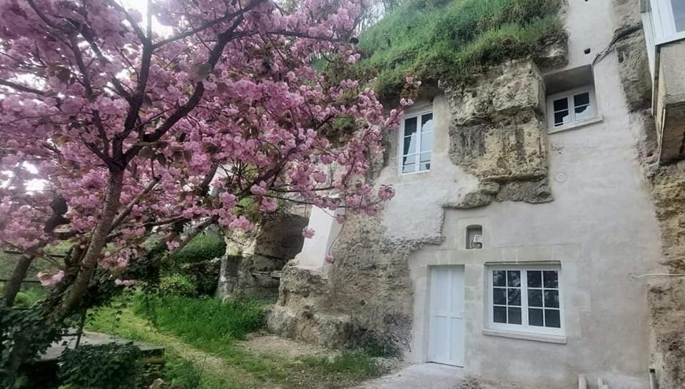 Troglo Entre Caves Et Chateaux مونتلويس سور لوار المظهر الخارجي الصورة